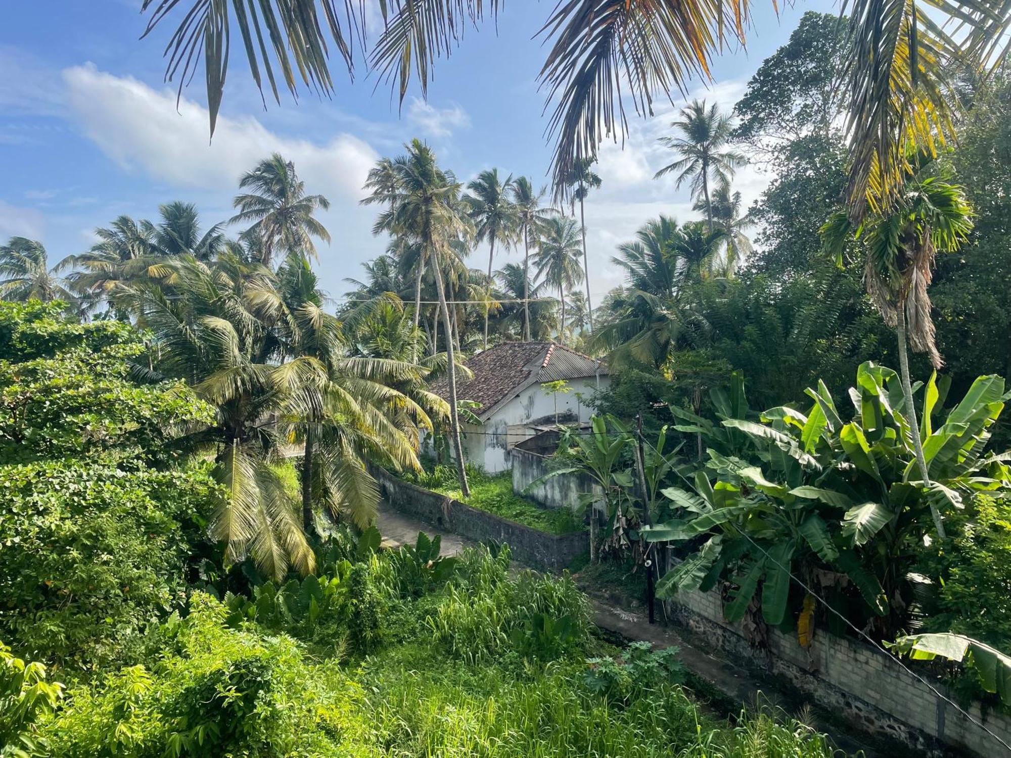Serendipity Beach Unawatuna Eksteriør billede